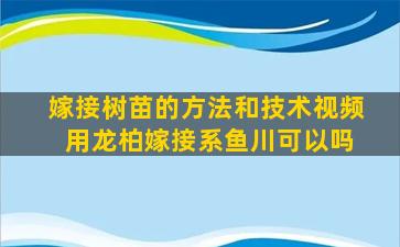 嫁接树苗的方法和技术视频 用龙柏嫁接系鱼川可以吗